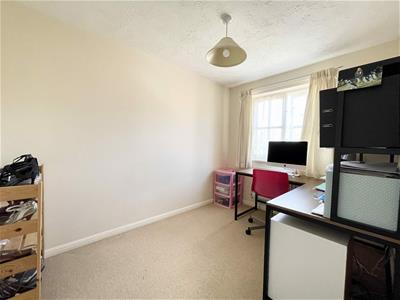 Picture 7